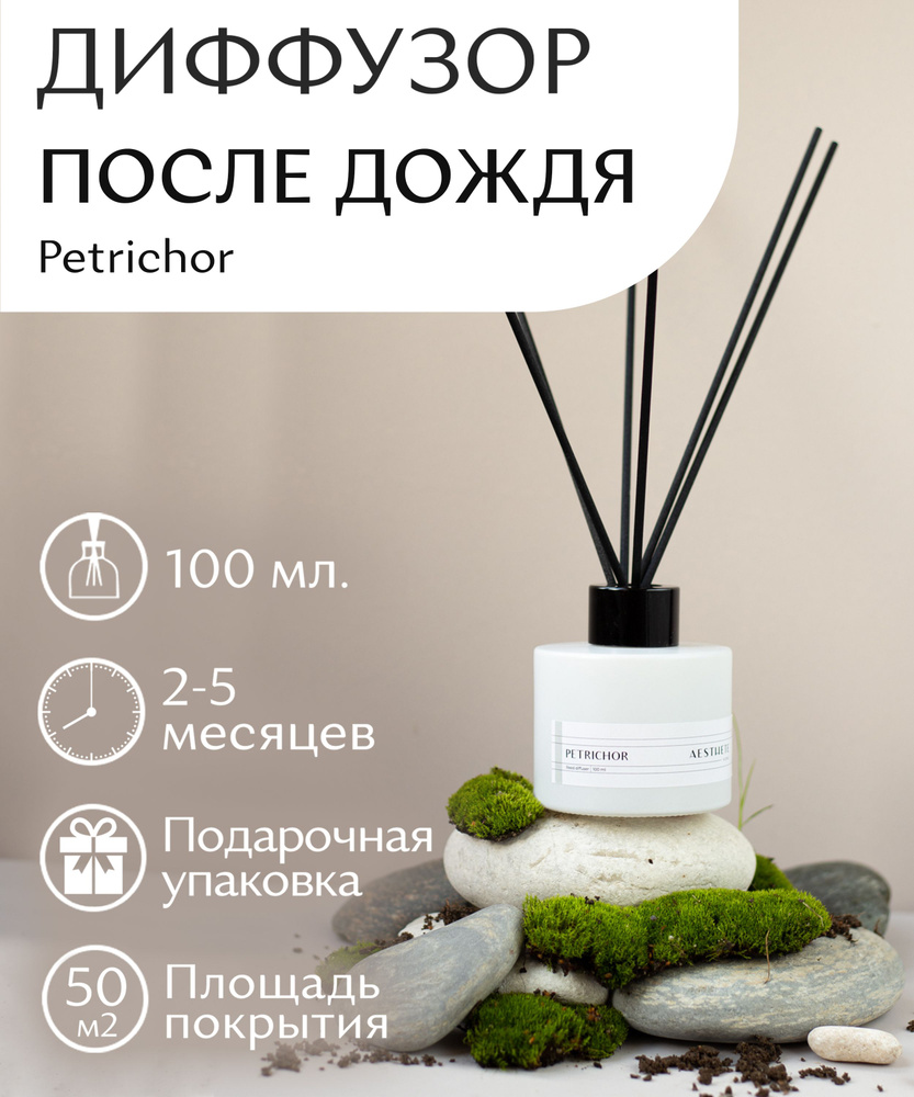 Ароматический диффузор AESTHETE home, Жидкий, Пачули, Хвойный, 100 мл  купить по доступной цене с доставкой в интернет-магазине OZON (369931891)