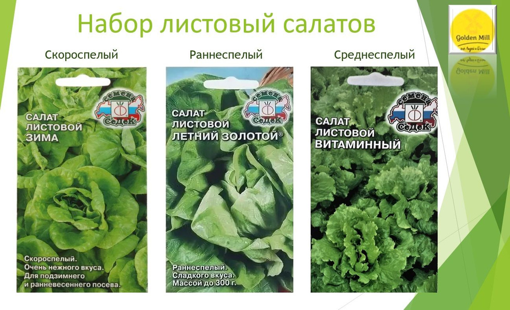 Салат Семена СеДек салат 2023 - купить по выгодным ценам винтернет-магазине OZON (865331074)
