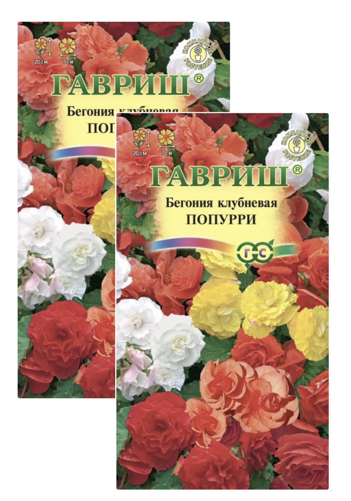 Бегония клубневая F1 ПОПУРРИ, 2 пакета, ГАВРИШ, семена 4шт, смесь, разноцветная, для горшка, комнатное #1