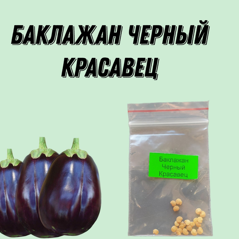 Когда давать детям баклажан. Баклажан черный красавец. баклажан черное золото.