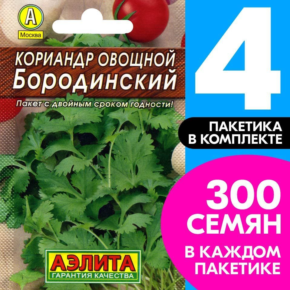 Семена Кориандр для посадки кинза Бородинский, 4 пакетика по 3г/300шт  #1