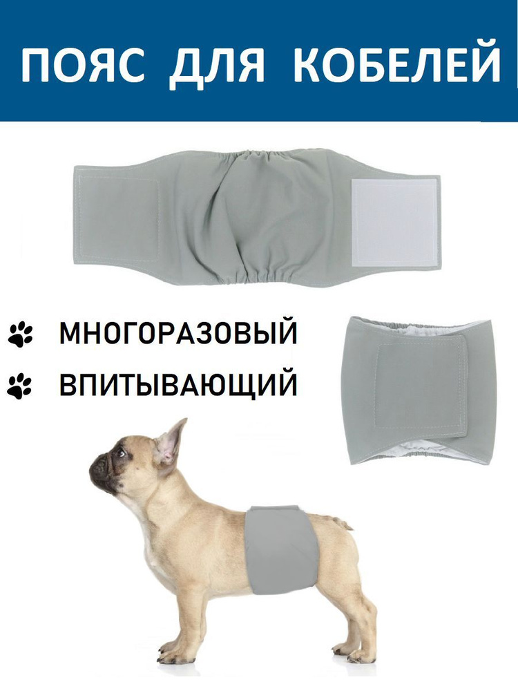 Пояс для кобелей серый размер XL. Многоразовый памперс, подгузник, трусы,  пеленка для собак - купить с доставкой по выгодным ценам в  интернет-магазине OZON (931009070)
