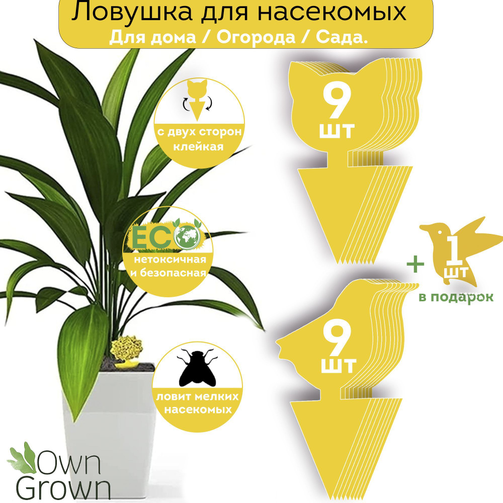 Липкая ловушка от мух клеевая пластина OwnGrown, средство приманка от  насекомых (для борьбы с мошка, тля, трипс, паутинный клещ, щитовка,  белокрылка) ...