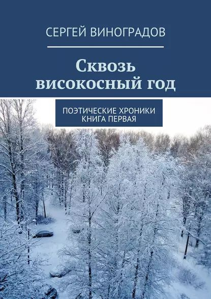 Сквозь високосныйгод. Поэтические хроники. Книга первая | Виноградов Сергей | Электронная книга  #1