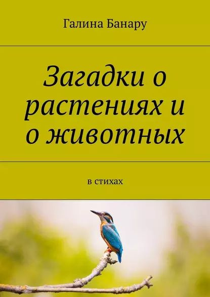 Большая книга загадок - Vilki Books