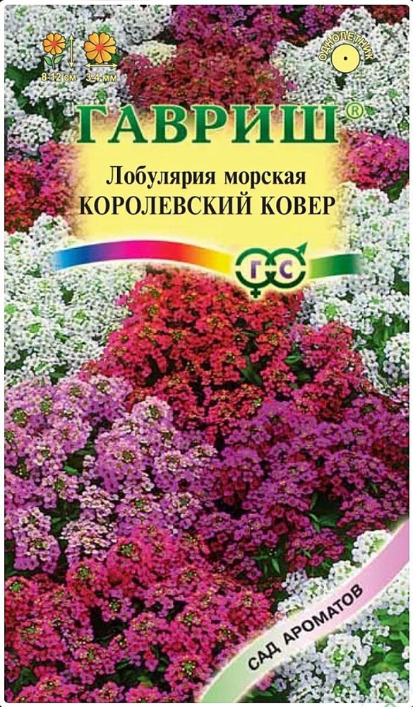 Лобулярия Королевский ковер, 1 пакет, семена 0,05 гр, Гавриш  #1