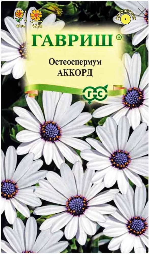 Остеоспермум Аккорд (белый), 1 пакет, семена 0,1 гр, Гавриш  #1