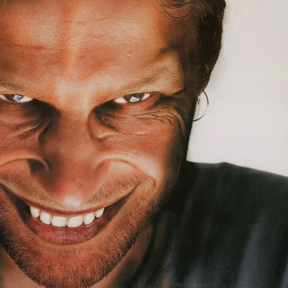 Aphex Twin - Richard D. James Album виниловая пластинка - купить с  доставкой по выгодным ценам в интернет-магазине OZON (1104636185)