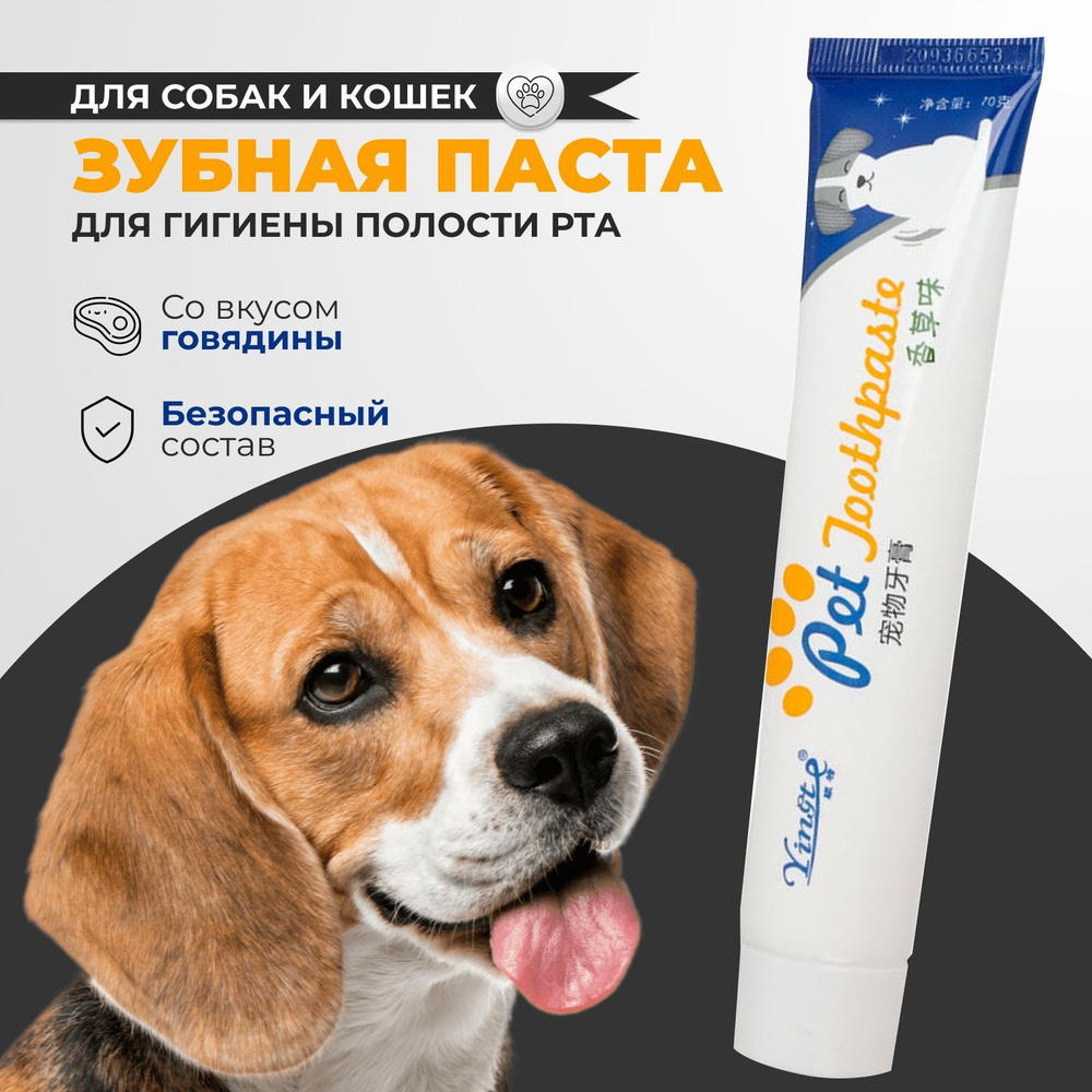 Зубная паста для собак и кошек 70 грамм со вкусом говядины - купить с ...