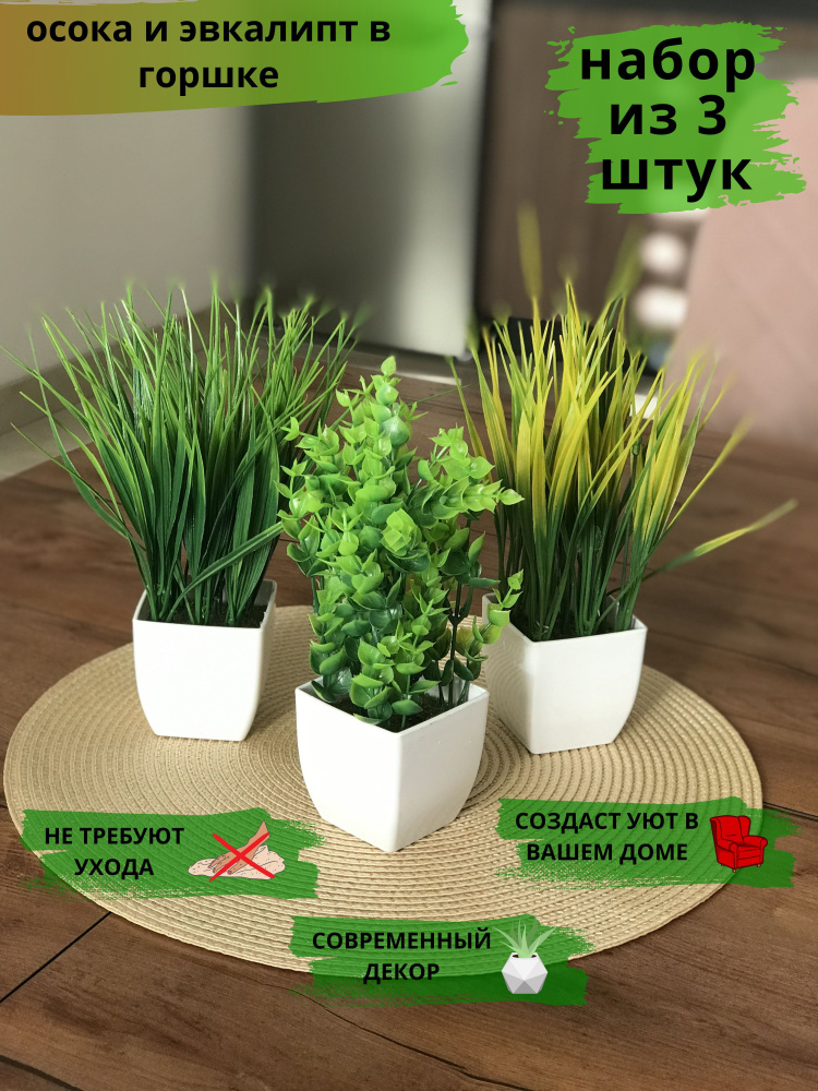 Грин Декор | магазин товаров для цветоводства, садоводства и огорода⭐️Green Decor