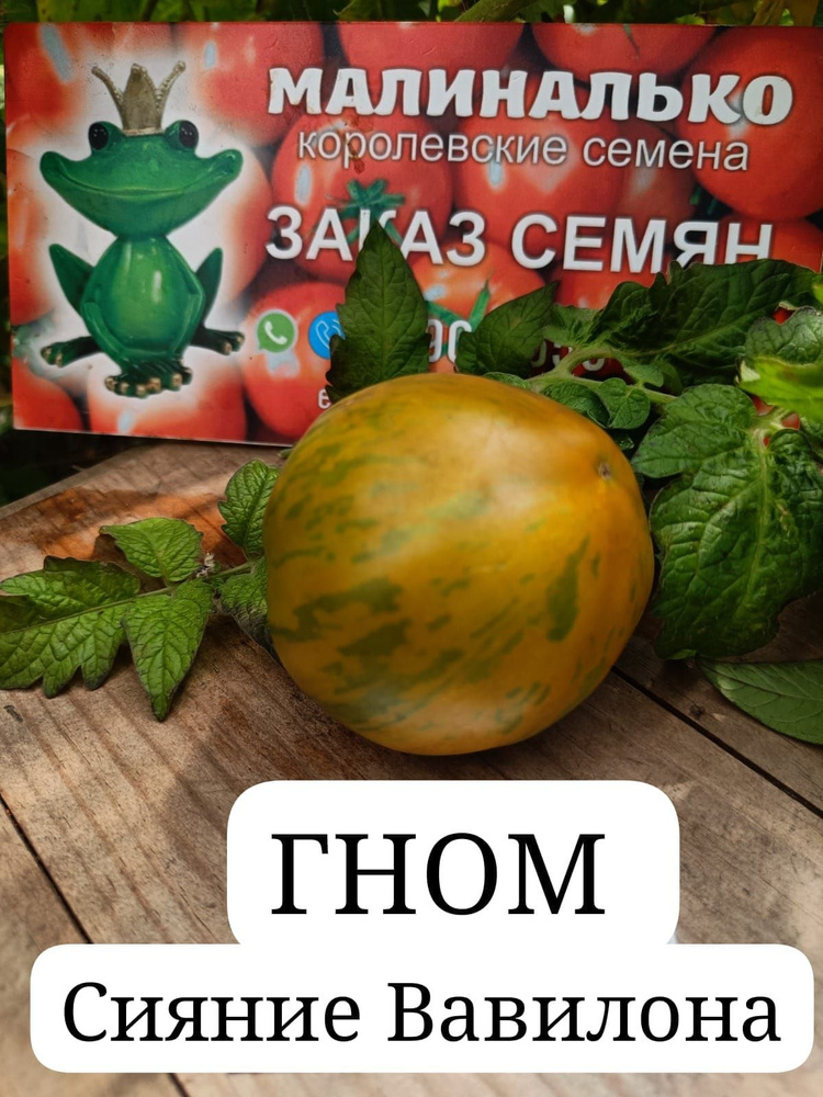 Семена #1