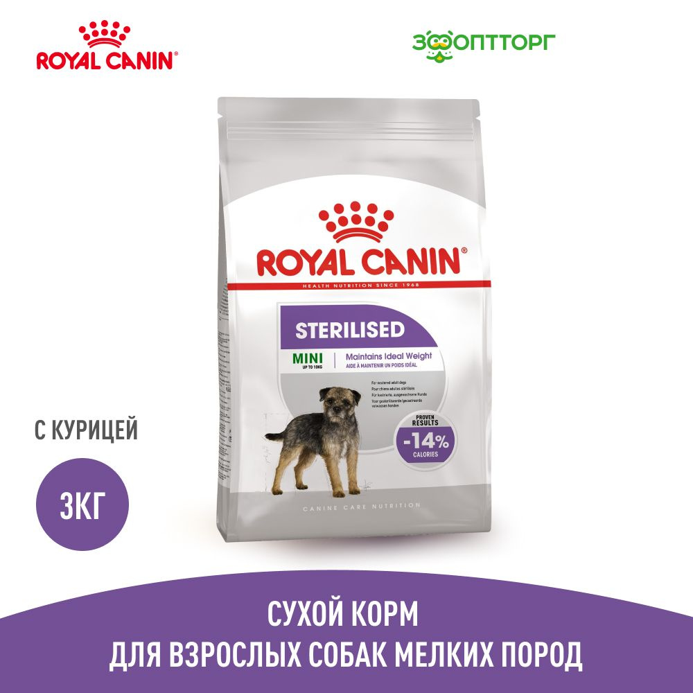 Royal best sale adult mini