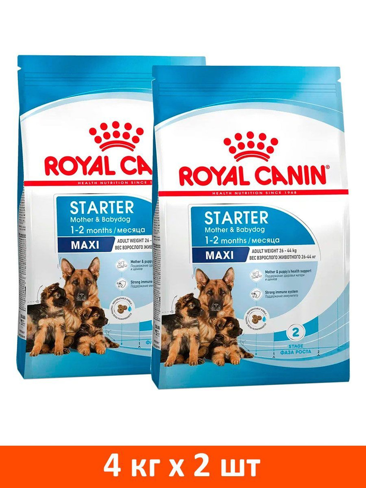 Royal canin hot sale maxi starter