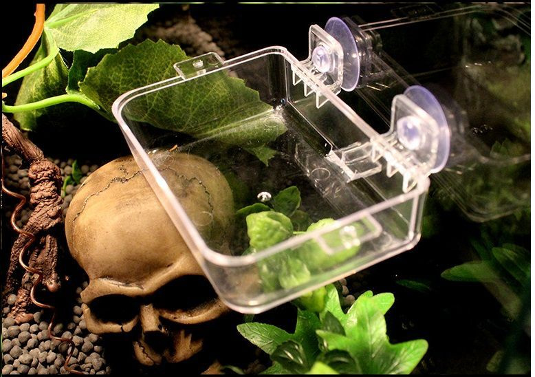 Кормушка поилка на присоске для ящериц, пауков, игуан, хамелеонов ...