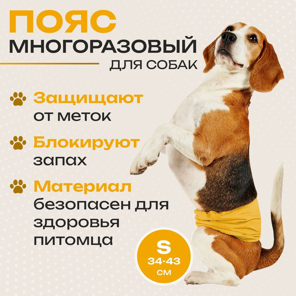 Пояс для кобелей многоразовый заменит трусы, памперсы, подгузники и ...