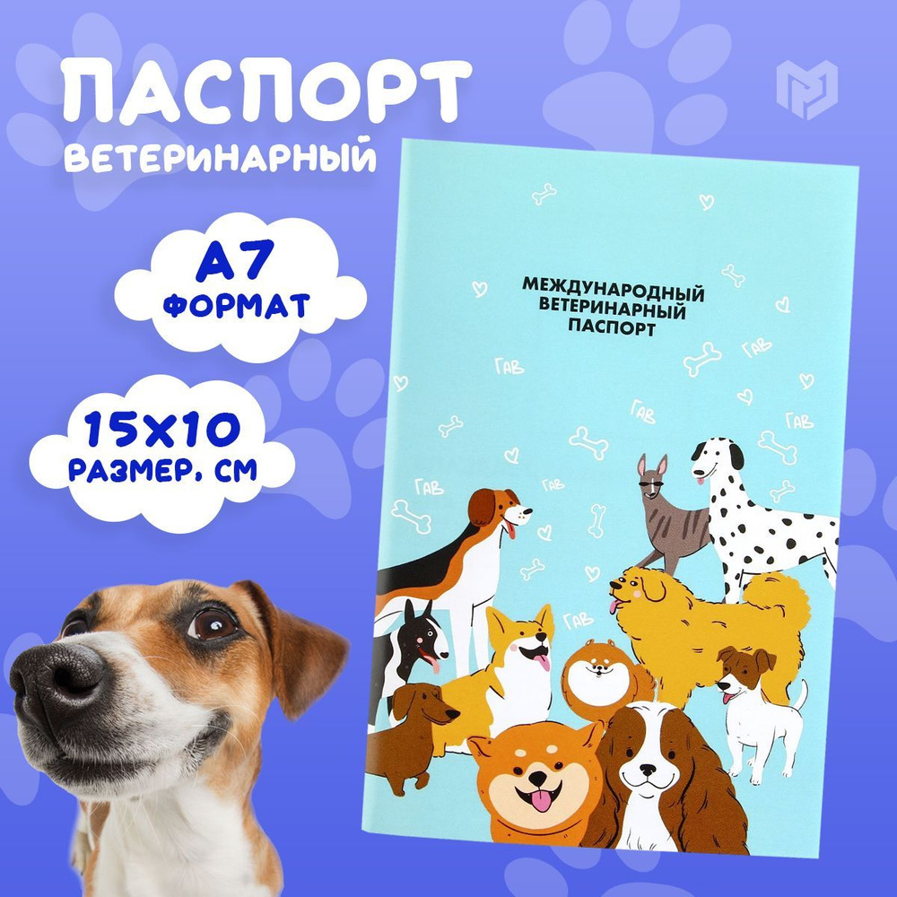 Ветеринарный паспорт для собак