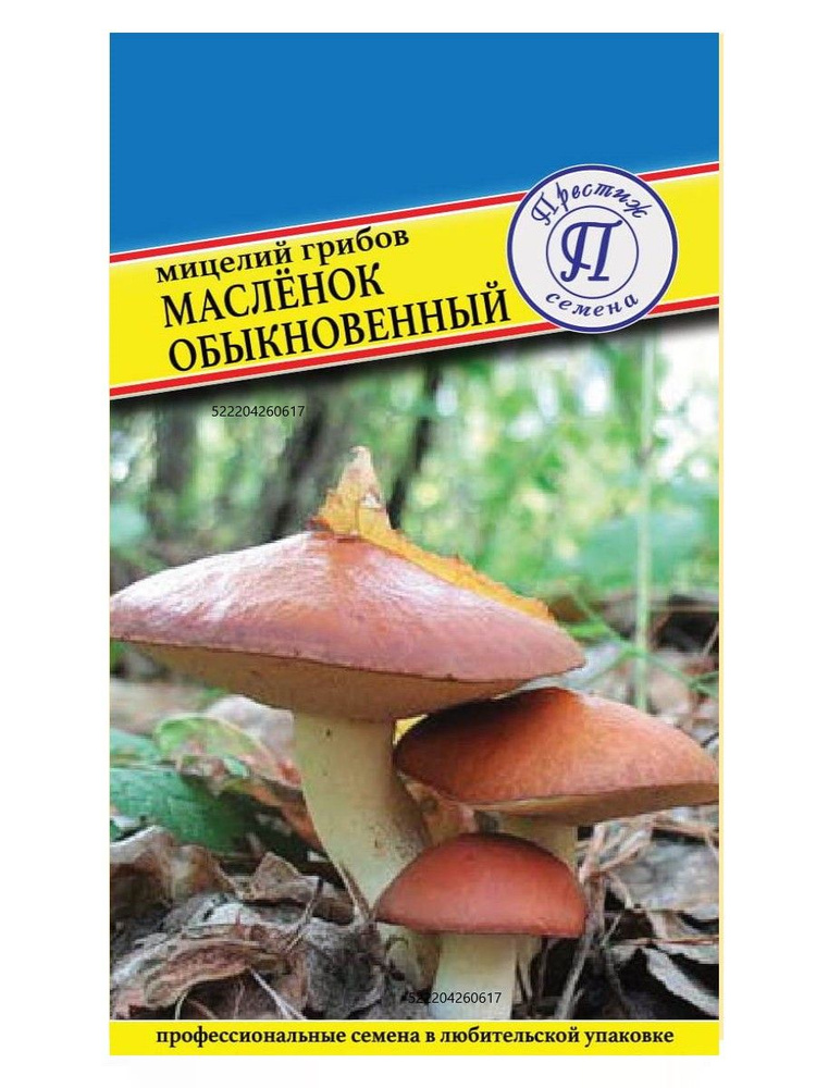 Мицелий грибов "МАСЛЕНОК ОБЫКНОВЕННЫЙ" семена грибов #1