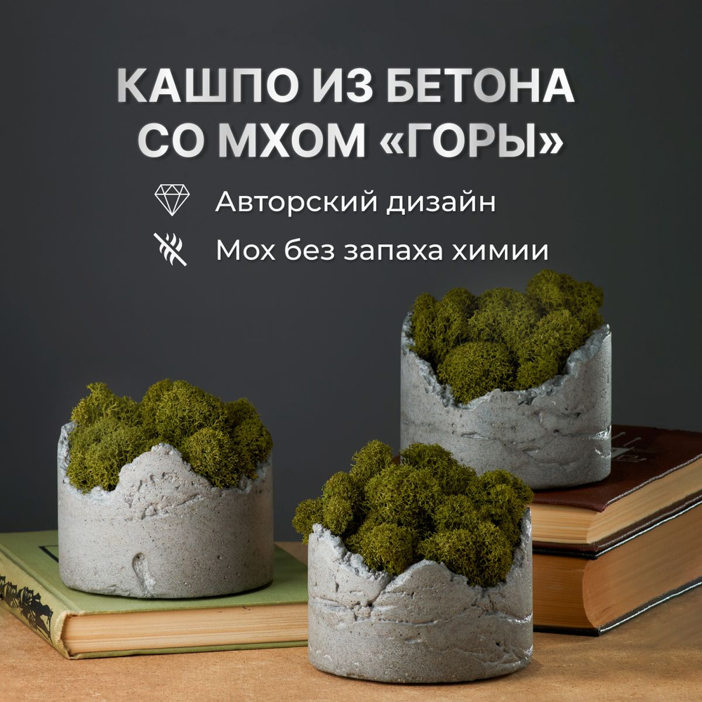 Украшение настольное интерьерное Кашпо Горы бетон серый - купить по  доступным ценам в интернет-магазине OZON (942572716)