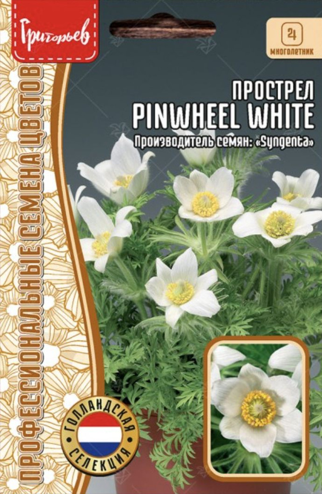 Прострел Pinwheel White, 1 пакет, семена 3 шт, ЧК #1