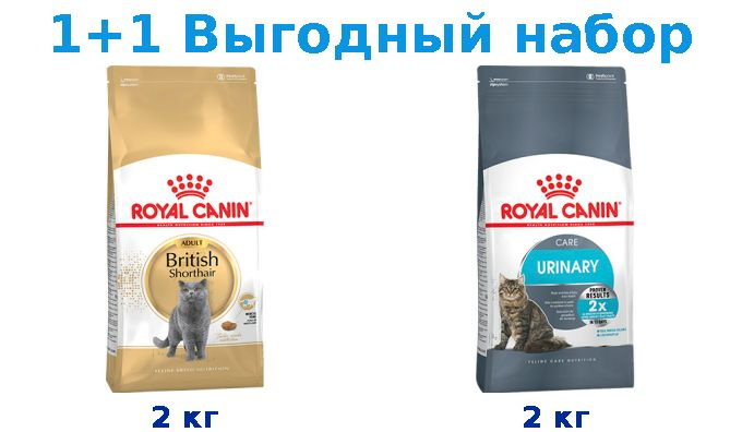 Сухой корм Взрослые, Royal Canin Breed cat British Shorthair 2 кг + Взрослые, Royal Canin Urinary Care #1