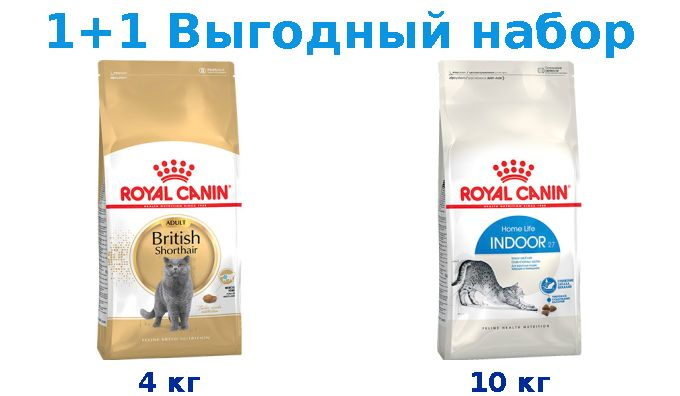 Сухой корм Взрослые, Royal Canin Breed cat British Shorthair 4 кг + Взрослые, Royal Canin Indoor 10 кг #1