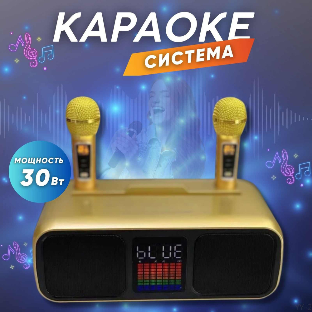 Колонка караоке с двумя микрофонами SD золотая - купить с доставкой по ...