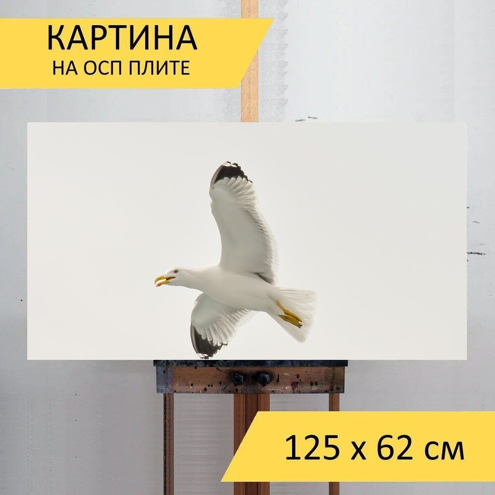 Картина птиц 