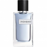 y ysl toilette