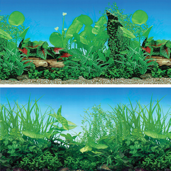 Задний фон для аквариума. Как приклеить задний фон?