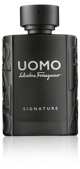 Ferragamo uomo cheap eau de toilette