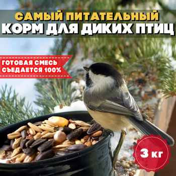 Корм для Уличных и Парковых Птиц – купить в интернет-магазине OZON по ...