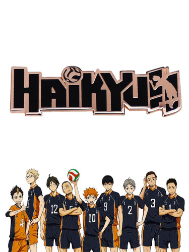       Haikyuu   Fandom