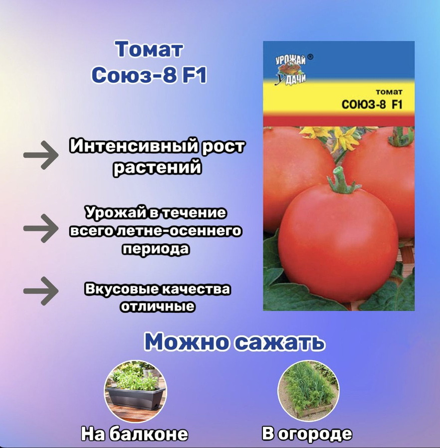 Томат союз 8. Помидоры Союз 8. Томат Союз 8 f1 характеристика и описание. Томат Союз. Томат госпожа удача.