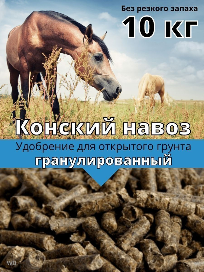 Конский навоз картинки