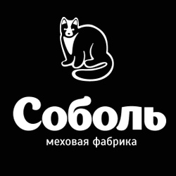 Фабрика соболь. Соболь меховая фабрика. Меховая фабрика Соболь логотип. Соболь Киров меховой салон. Киров Воровского 89 магазин Соболь.