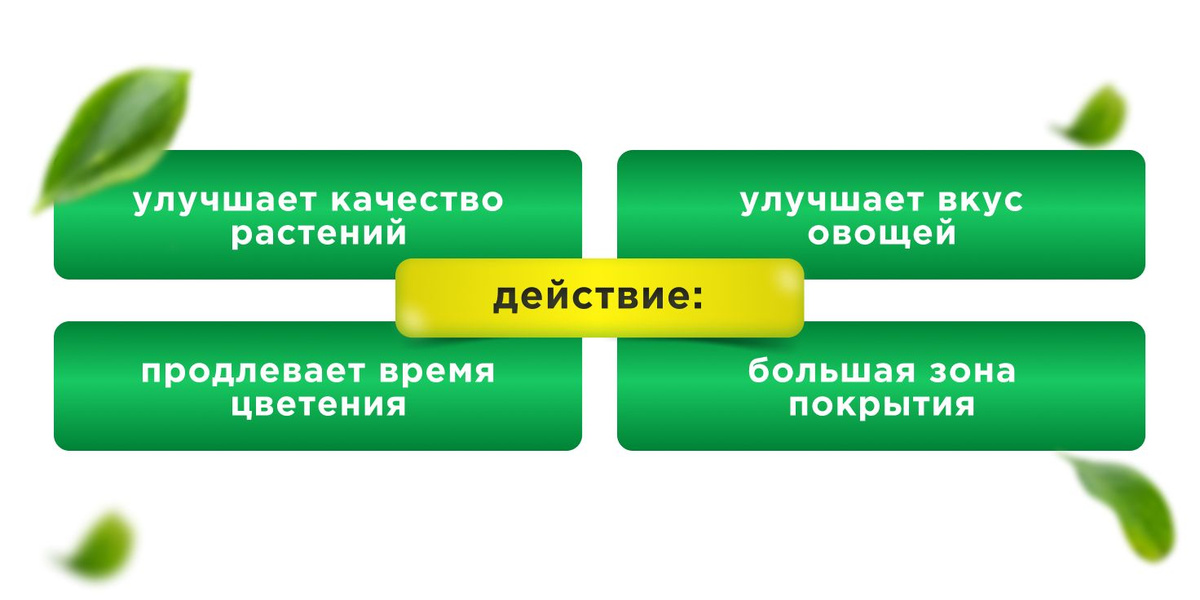 Текстовое описание изображения