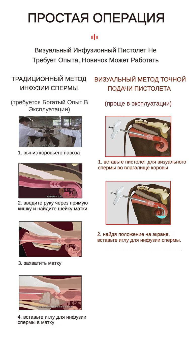 Инструмент для искусственного осеменения молочных коров Визуальный ...