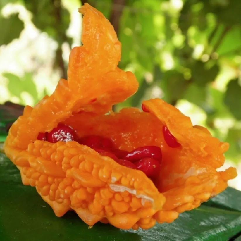 Момордика харанция семена (5 ШТ) #3