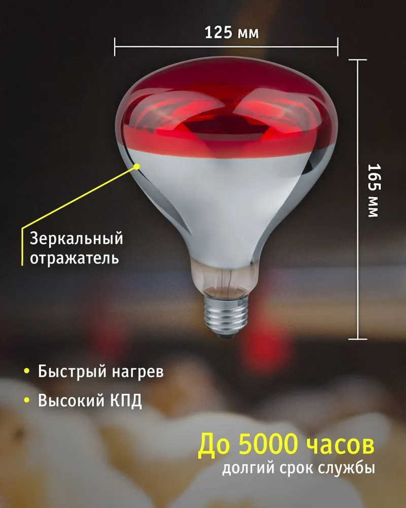 Инфракрасная лампа Navigator 93 972 для обогрева птиц и животных, 250 Вт, цоколь Е27, 250 Вт, фото 4