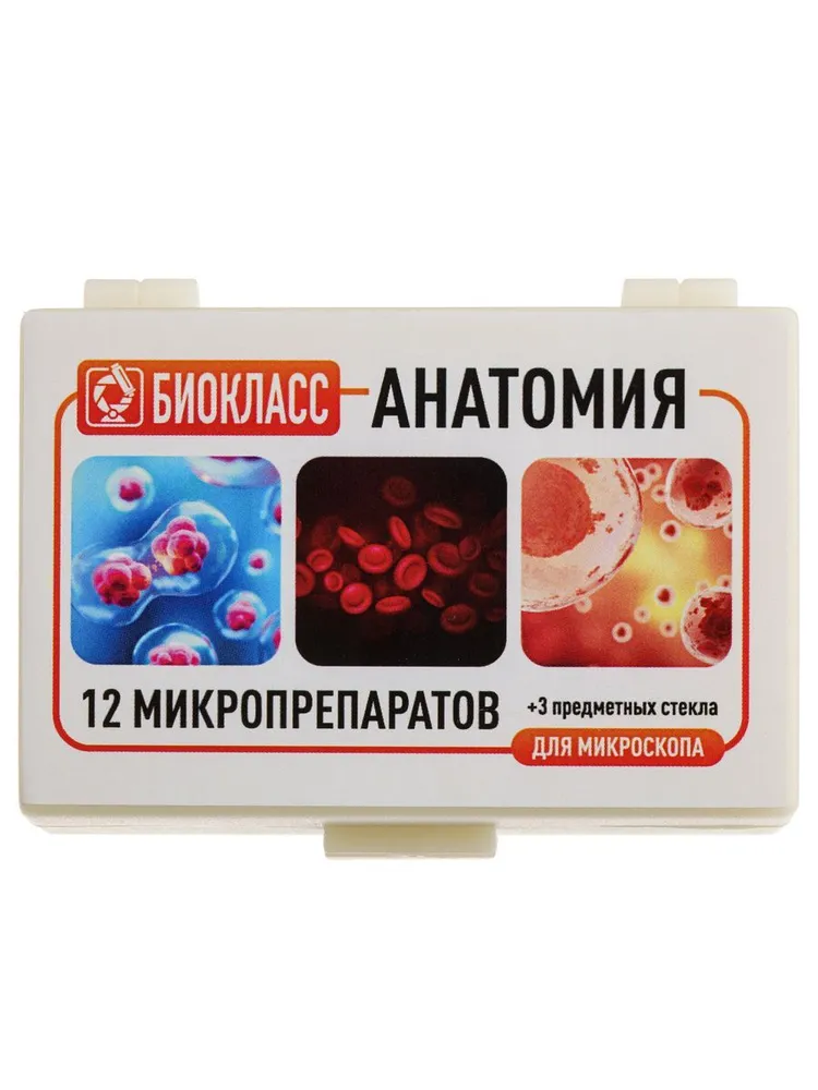 Препараты для микроскопа Анатомия 12 образцов, вариант, фото 6