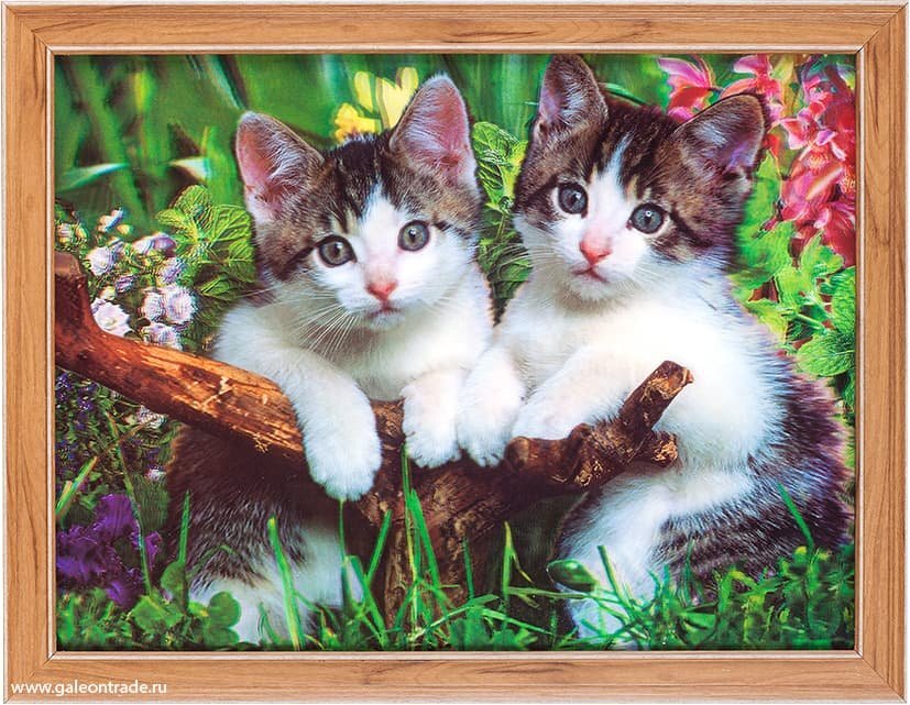 Картина 5D 30 х 40 см, Котята Картина 5D 30 х 40 см, Котята