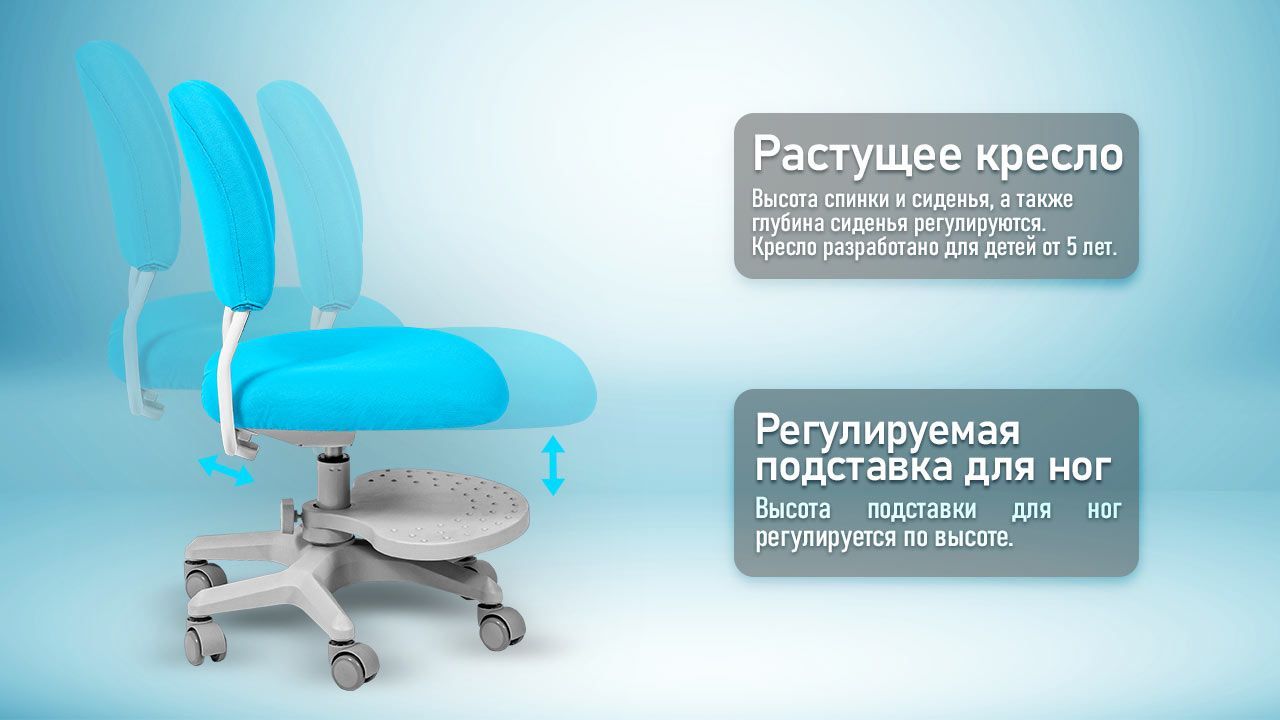 Детское компьютерное кресло Anatomica Liberta - купить по выгодным ценам в  интернет-магазине OZON (1420738493)