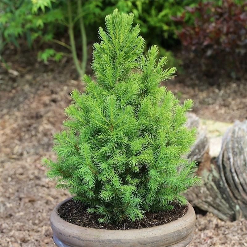 Маймылдың әйелді сиқыған секс видеосы Орыс үйдегі топтық секс порно