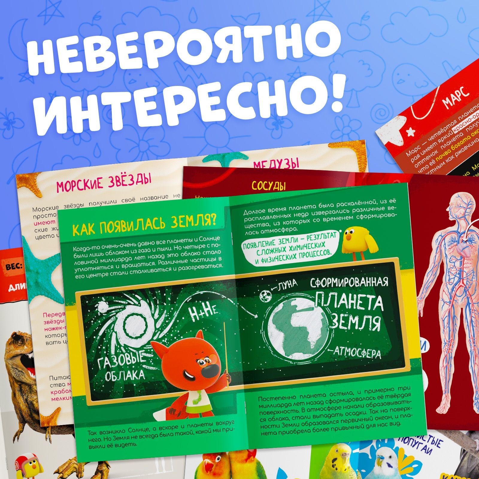 Книги для детей, Буква Ленд МиМиМишки "Изучаем мир", набор 6 шт. по 20 стр., энциклопедия для детей | Reference Book - Ozon image 7