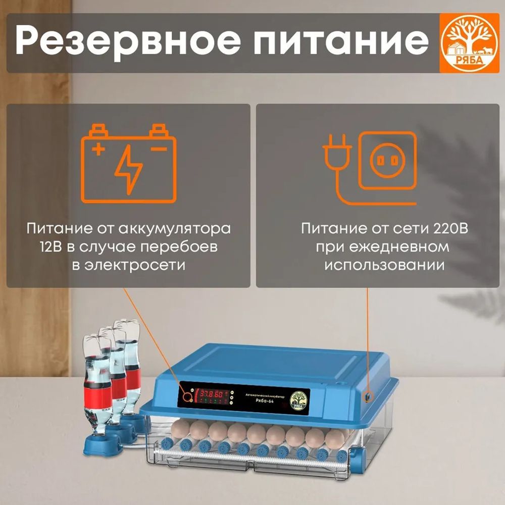 256 инкубатор для яиц двойного питания полностью автоматический ...