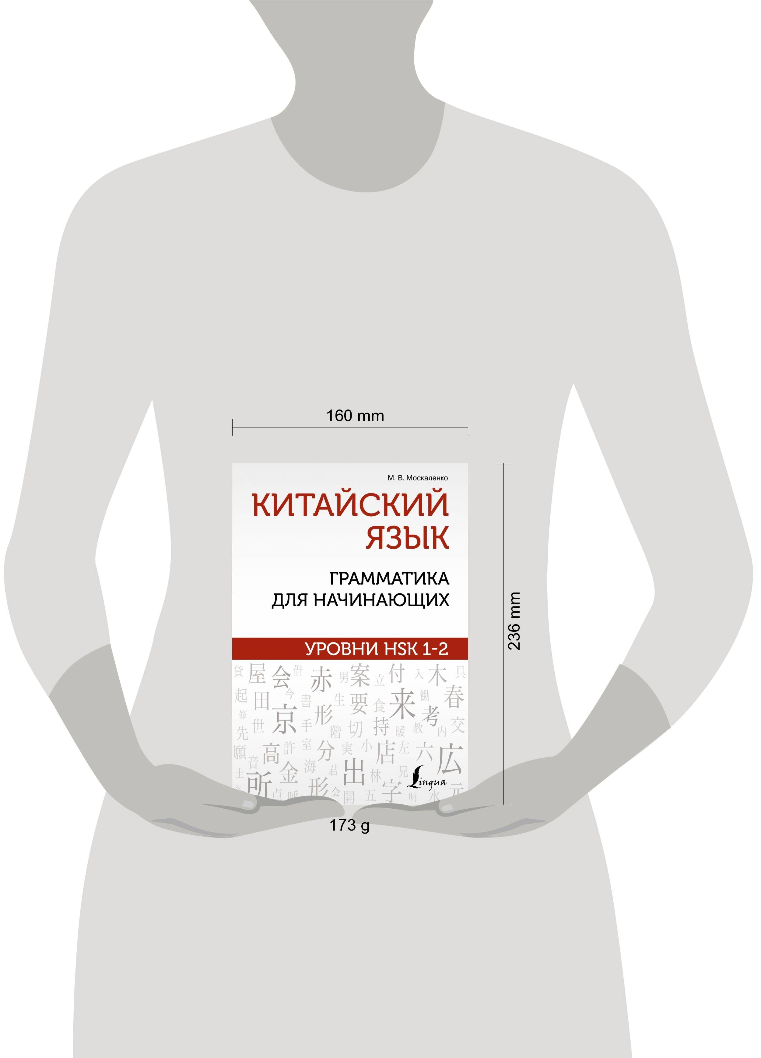 Китайский язык: грамматика для начинающих. Уровни HSK 1-2 | Chinese Grammar for Beginners: HSK Levels 1-2 - Ozon image 1