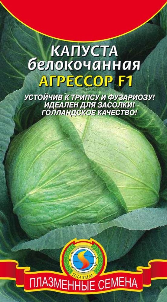 Капуста агрессор описание сорта фото отзывы садоводов Капуста Плазменные семена KapustaBKAgressorF1 - купить по выгодным ценам в интер