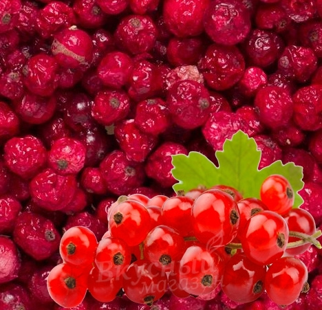 Смородина красная цельная сублимированная Organic Food, 50 гр.  #1