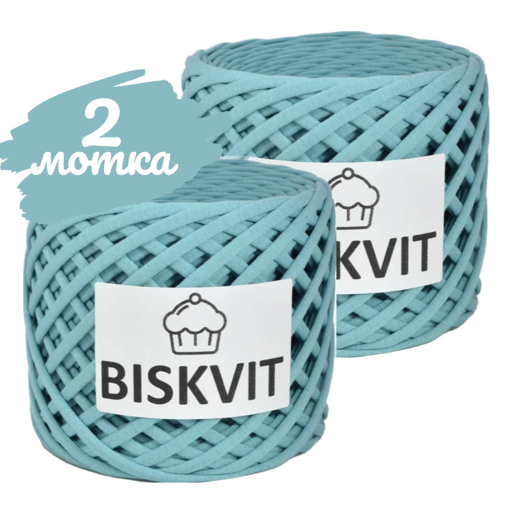 Трикотажная пряжа Biskvit пыльная мята, 100м., лицевая, 2шт. (бисквит)  #1