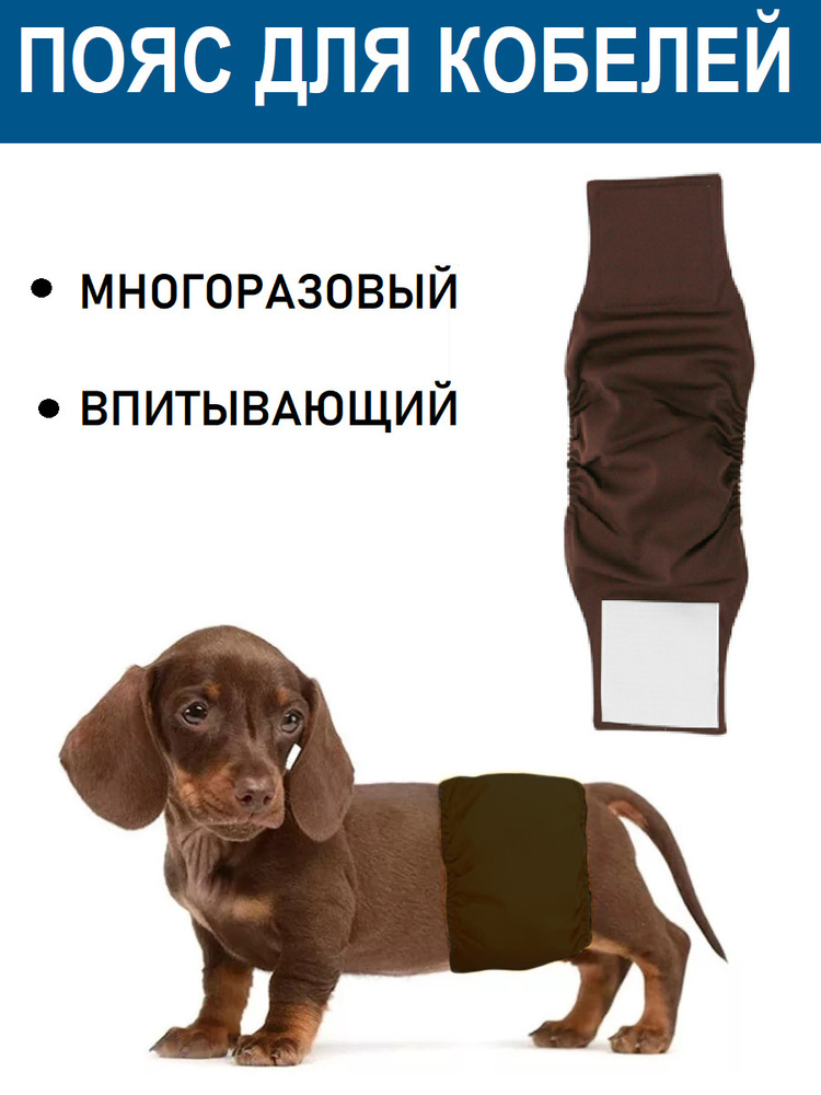 Пояс для собак кобелей размер L (ОТ 50-60см). Многоразовый памперс,  подгузник, трусы, пеленка для собак - купить с доставкой по выгодным ценам  в интернет-магазине OZON (473090129)